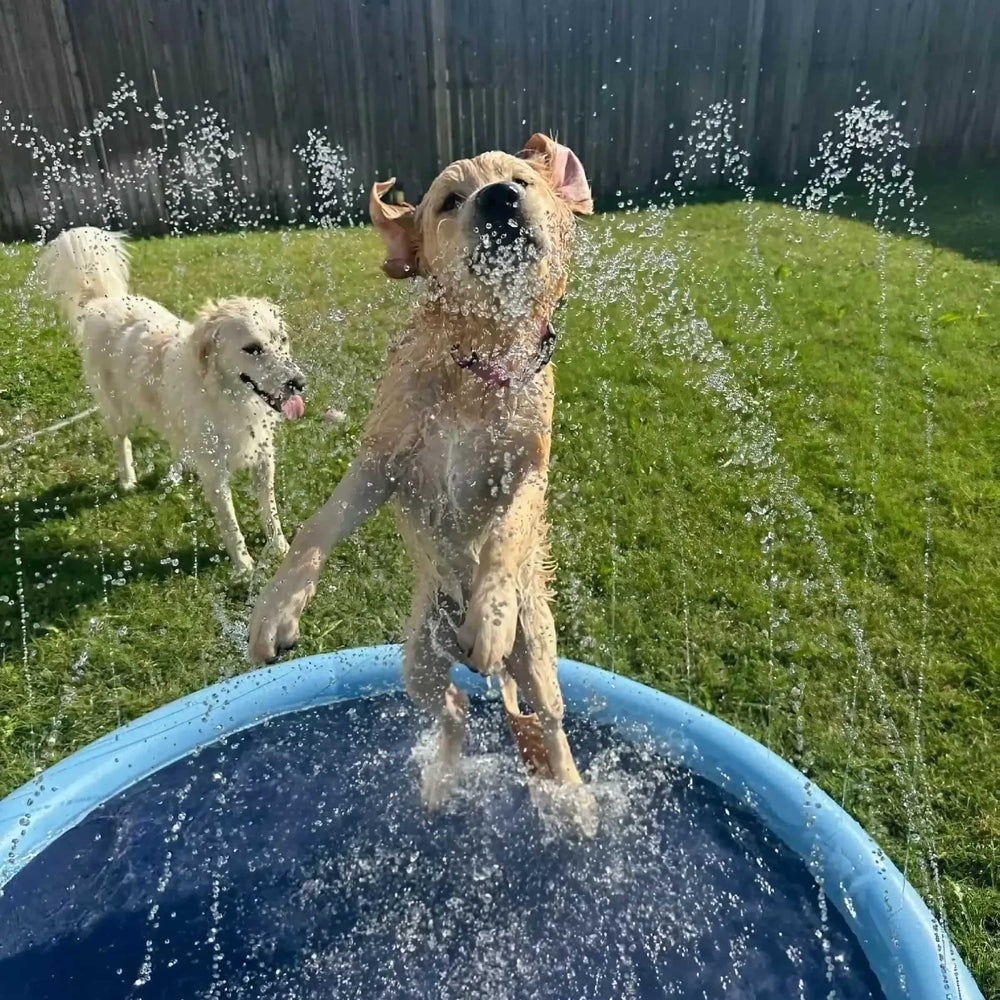 Meet the Pup Paradise™ Splash Pad