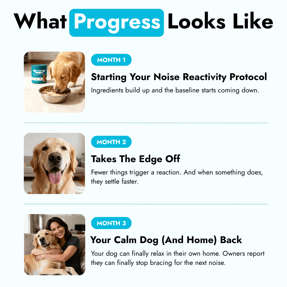 Noise Anxiety Protocol