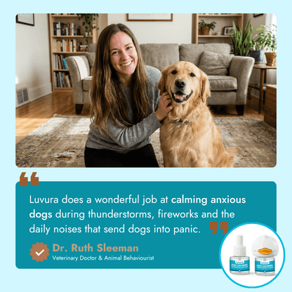 Noise Anxiety Diffuser Kit