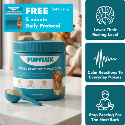 Noise Anxiety Protocol