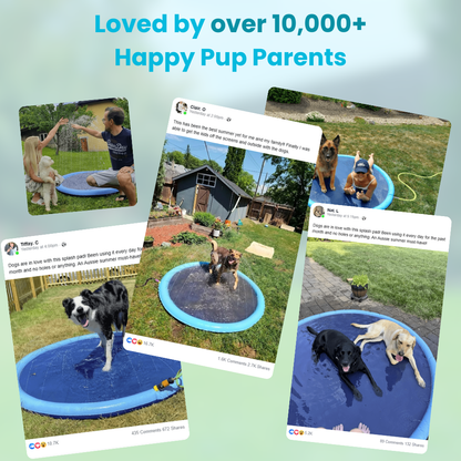 Pup Paradise™ Splash Pad