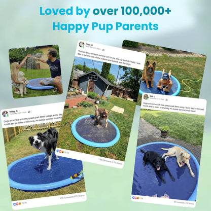 Pup Paradise™ Splash Pad