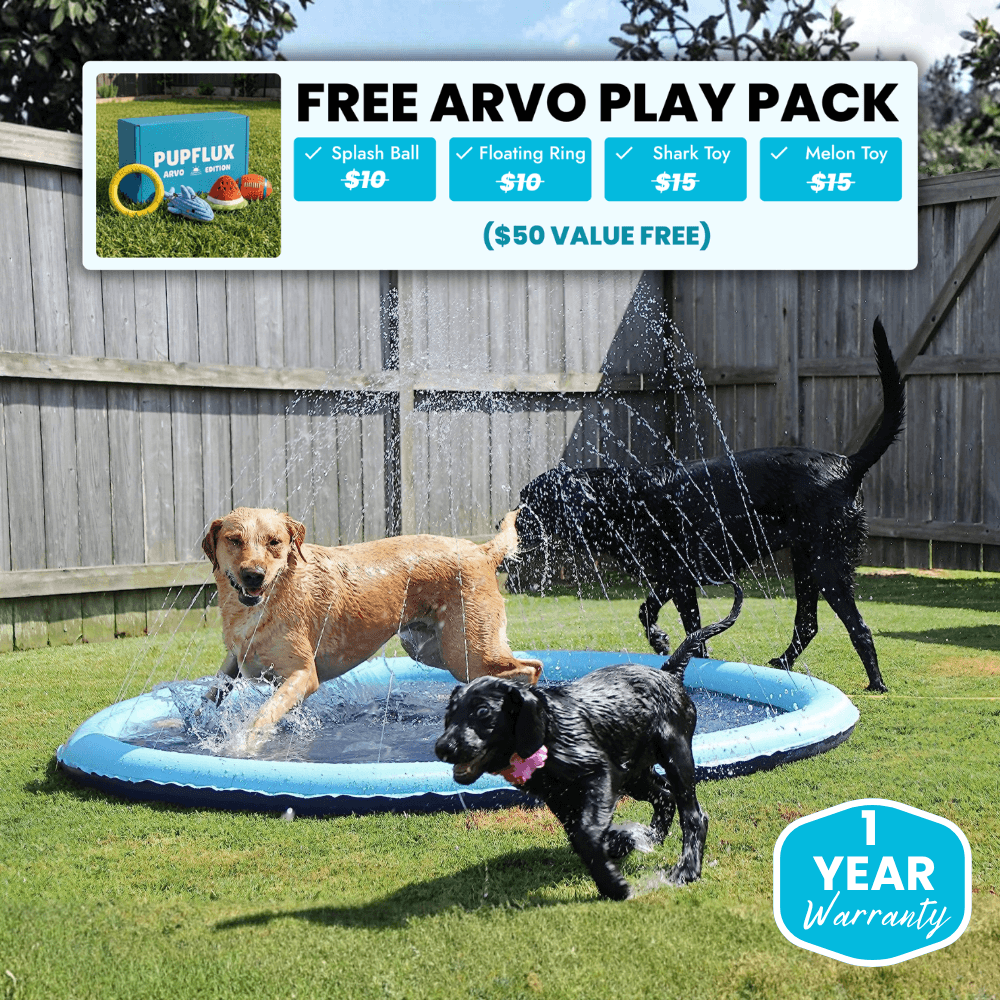 Pup Paradise™ Splash Pad