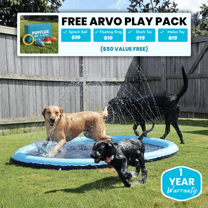 Pup Paradise™ Splash Pad