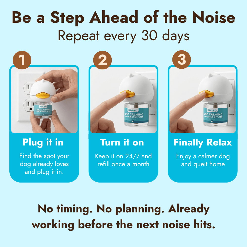 Noise Anxiety Diffuser Kit