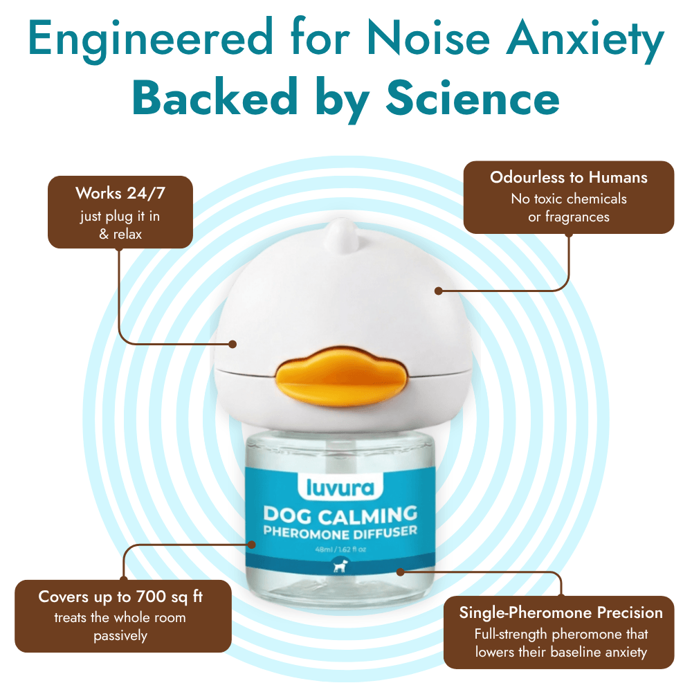 Noise Anxiety Diffuser Kit