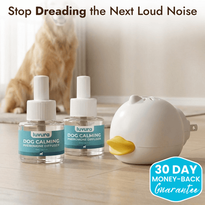 Noise Anxiety Diffuser Kit