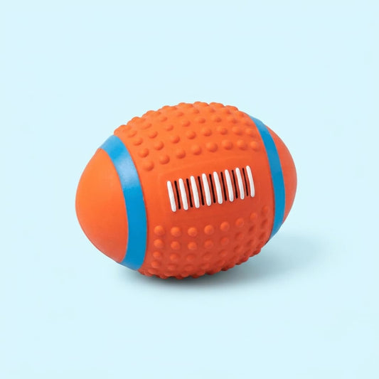 Squeaky Splash Ball